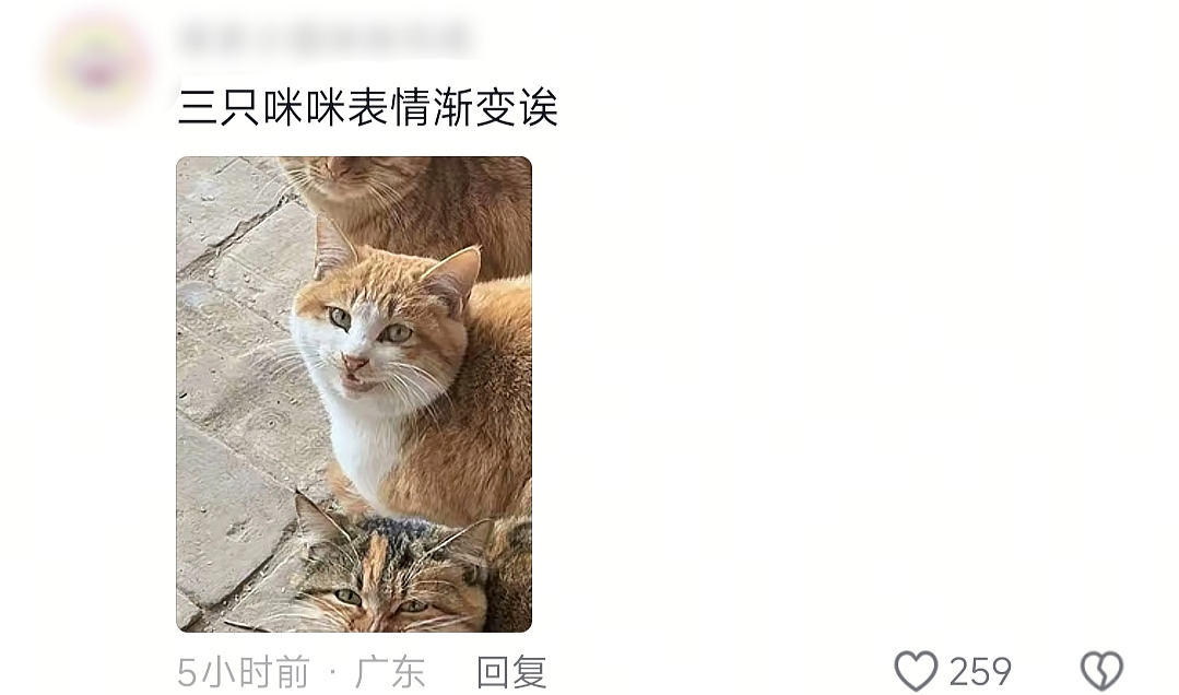 【爆笑】“婚礼跟拍能有多抽象？！”哈哈哈哈哈哈哈哈哈看完抠出三室一厅（组图） - 67