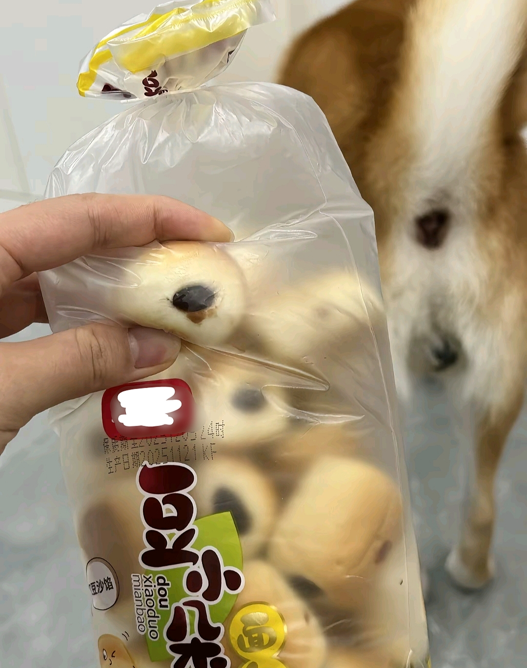 【爆笑】“婚礼跟拍能有多抽象？！”哈哈哈哈哈哈哈哈哈看完抠出三室一厅（组图） - 61