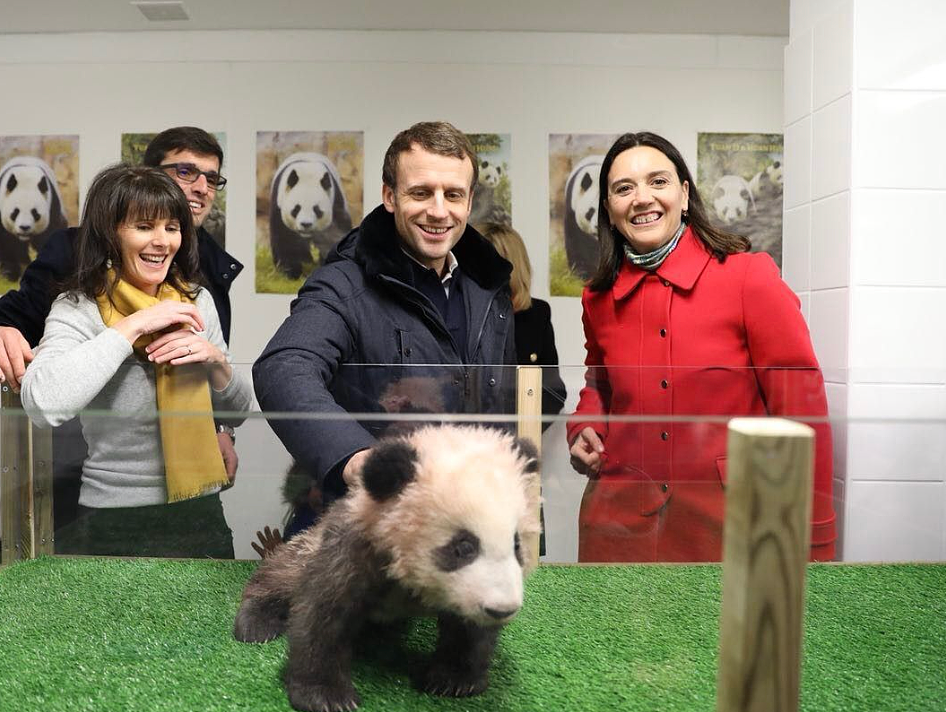 马克龙夫妇再访华！小丽造型惊艳，给孩子送飞吻，网友：他来要熊猫的吧？（组图） - 17