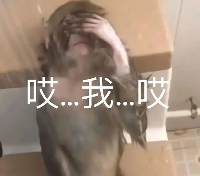 【爆笑】“当歌词被翻译成塑料方言......”哈哈哈哈哈哈哈原唱连夜下架歌曲(组图) - 13