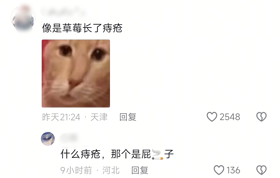 【爆笑】“当歌词被翻译成塑料方言......”哈哈哈哈哈哈哈原唱连夜下架歌曲(组图) - 103