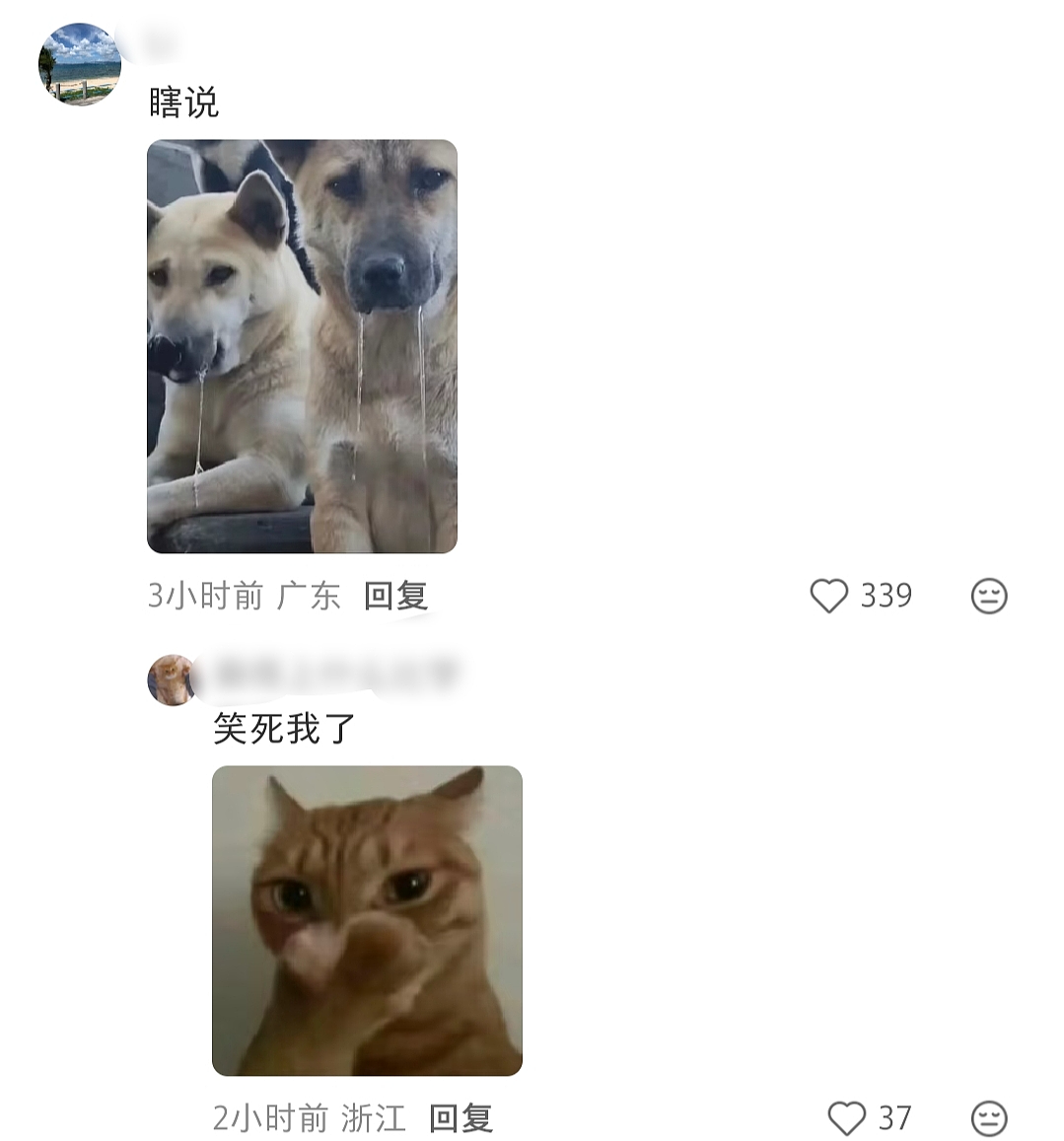 【爆笑】“婚礼跟拍能有多抽象？！”哈哈哈哈哈哈哈哈哈看完抠出三室一厅（组图） - 11