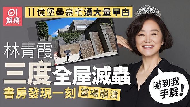 林青霞11亿豪宅遭蟑螂入侵,她亲手处理却杀不完,被吓到崩溃手抖(组图) - 2