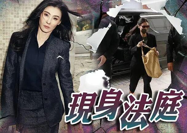 张柏芝又摊上事了！被前经理人告上法庭，索要巨额赔偿（组图） - 4