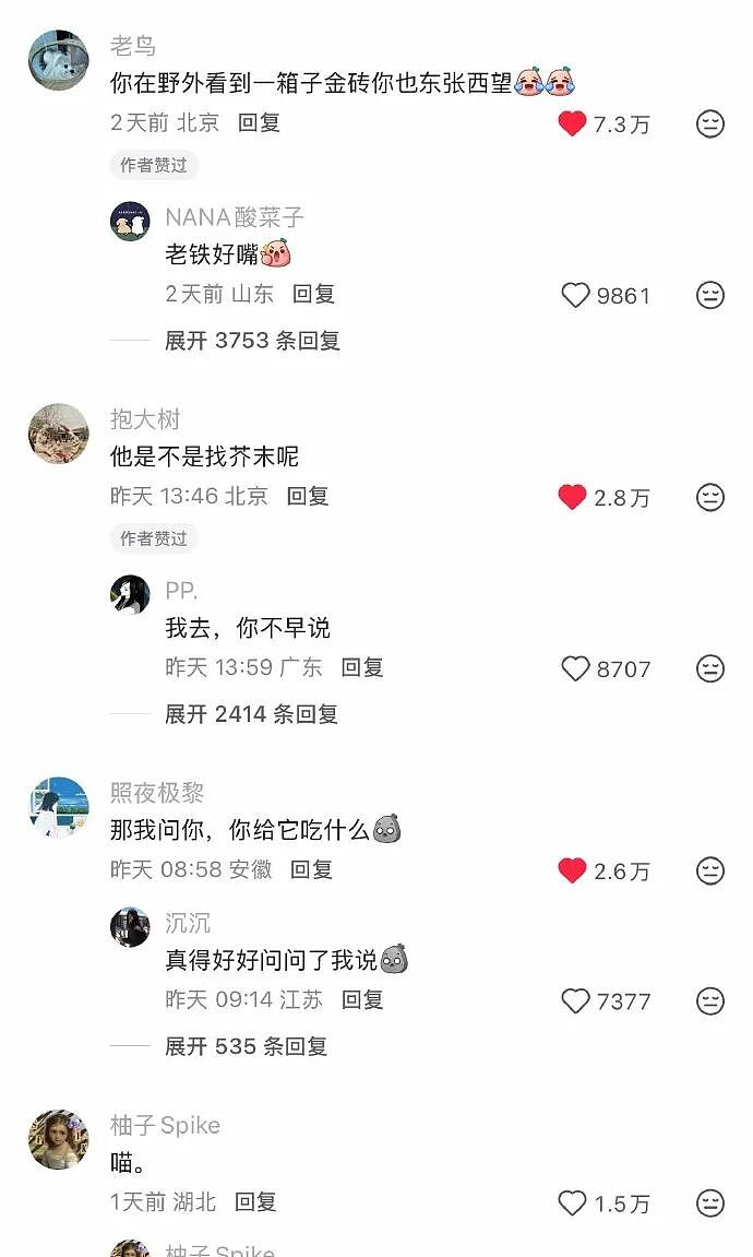 【爆笑】巴黎世家的打底裤是认真的吗？设计师：想起有人穿在身上就想笑（组图） - 41