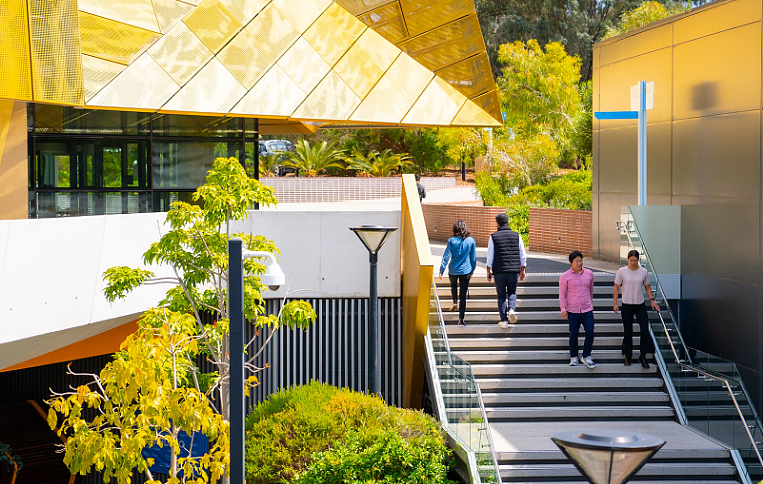 都要2026年了,你还以为澳洲医疗类职业只有护士最吃香?赶快来看看ECU 的这个职业治疗师课程吧(组图) - 2