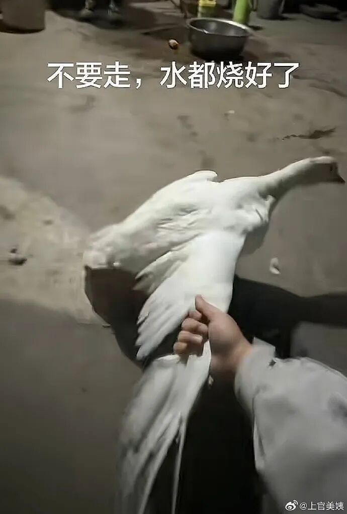 【爆笑】前男友说我是他初恋,结果他不知道我和他前女友谈过?评论区堪比大型出轨现场!(组图) - 12