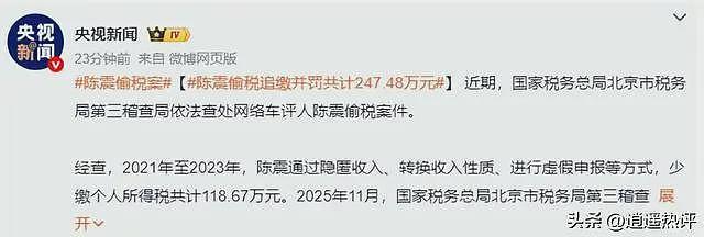 陈震偷税被封后转战网络，儿子美籍身份引发热议（组图） - 2
