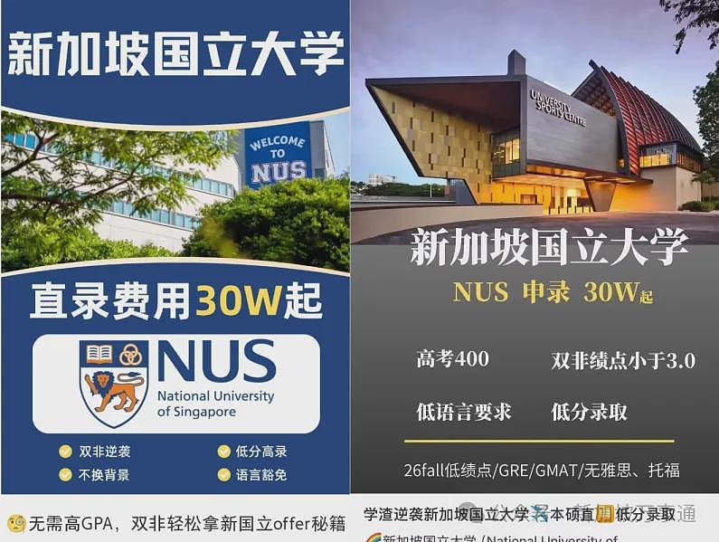 中国学生被新加坡黑心中介血坑:伪造通知书、18个月无学可上、10万块打水漂…细节曝光(组图) - 16