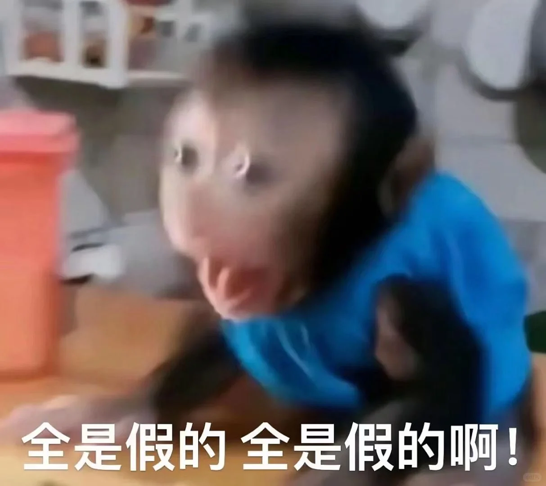 中国学生被新加坡黑心中介血坑:伪造通知书、18个月无学可上、10万块打水漂…细节曝光(组图) - 14