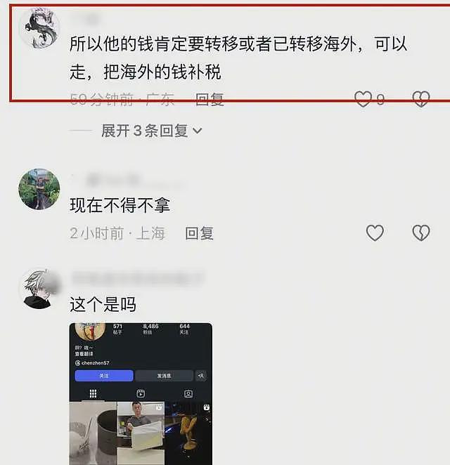 陈震被曝偷税后转战外网！新动态再惹非议，儿子受牵连，被扒美籍（组图） - 9