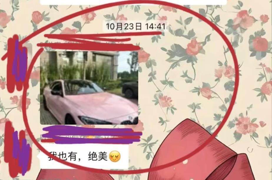 半年“仅退款”225个快递,女子打造富婆人设,败露后求卖家谅解(组图) - 2