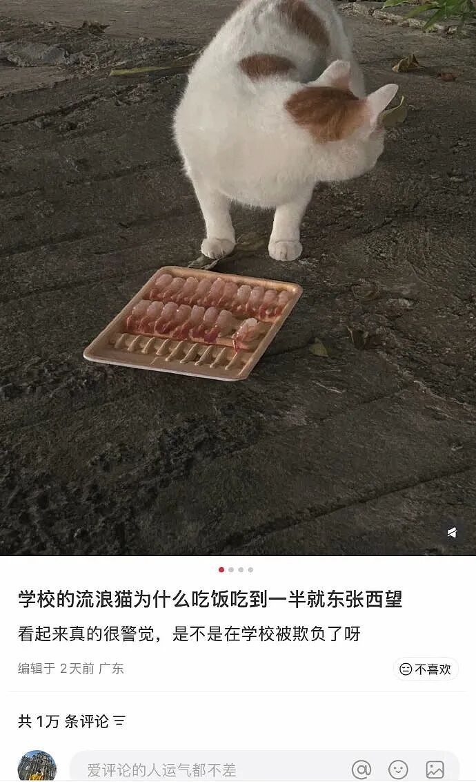 【爆笑】巴黎世家的打底裤是认真的吗？设计师：想起有人穿在身上就想笑（组图） - 40