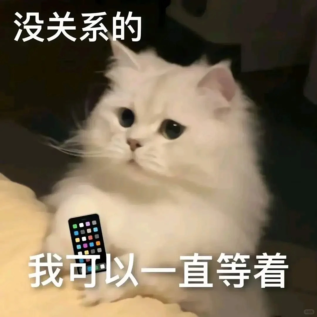中国学生被新加坡黑心中介血坑:伪造通知书、18个月无学可上、10万块打水漂…细节曝光(组图) - 3