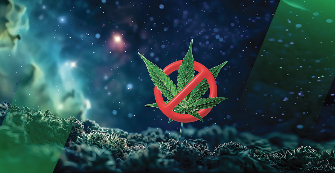 亚洲第一个大麻合法化的国家,现在后悔了(组图) - 23