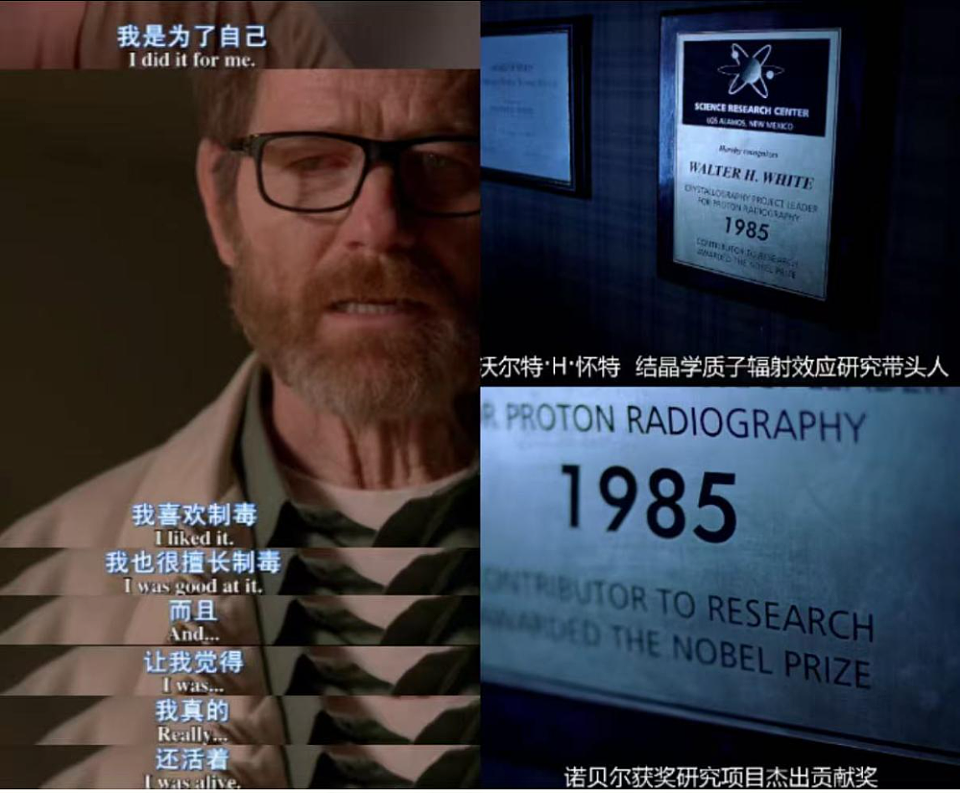 华人留学生变“毒枭”震惊硅谷，是什么让学霸坠入深渊？（组图） - 14