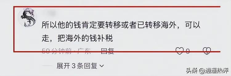 陈震偷税被封后转战网络，儿子美籍身份引发热议（组图） - 9