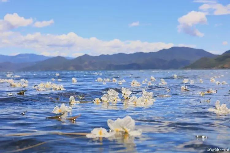 巴奴火锅新菜“水性杨花”被顾客投诉，店方：是一道云南菜，因歧义已改名（组图） - 2