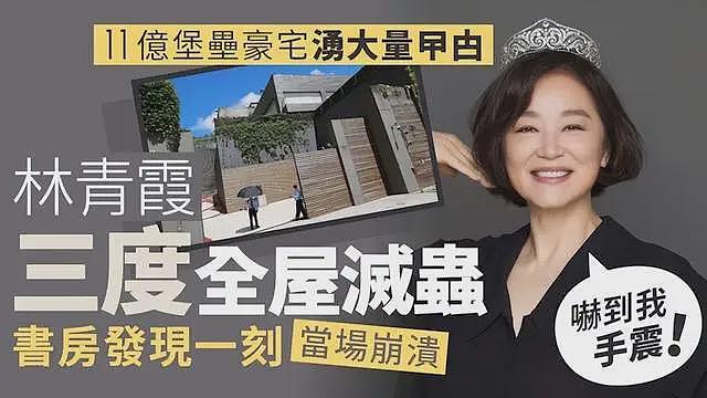 住11亿豪宅也有苦恼!林青霞自曝被吓到手抖,三请专业人士灭蟑螂(组图) - 4