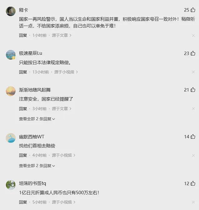 中国游客赴日旅游被撞身亡，家属索赔遭网暴，网友对同胞太尖锐！（组图） - 3