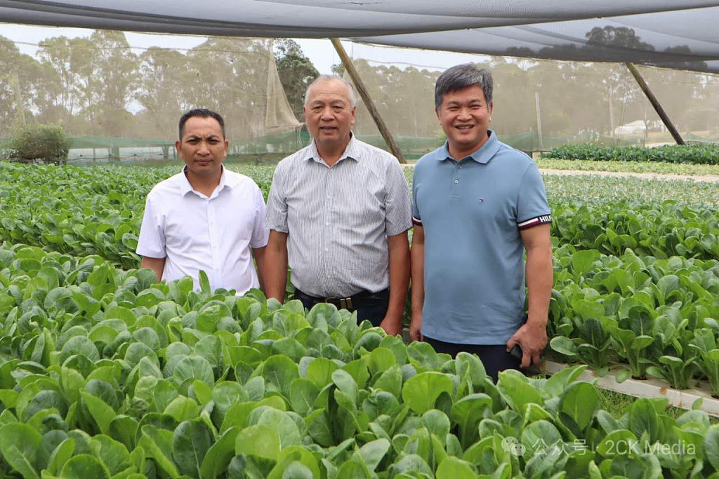​澳肇庆商会暨高要侨商创新中心换届，明年将举行理事大会与企业联欢晚宴（组图） - 4