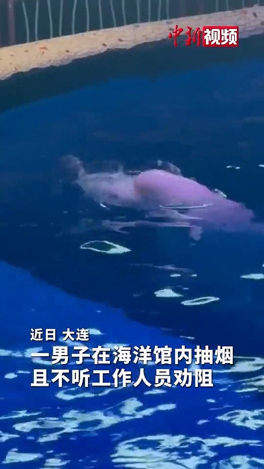 大连男子海洋馆吸烟拒听劝,遭白鲸喷水全身湿透极狼狈(视频/组图) - 4