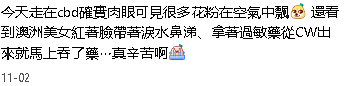 要命了，墨尔本今天又爆表了（组图） - 10