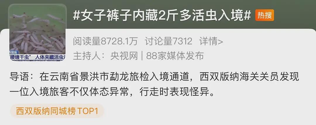 活久见！女子裤子内藏2斤活虫，同伴藏了4斤，都在蠕动（组图） - 1