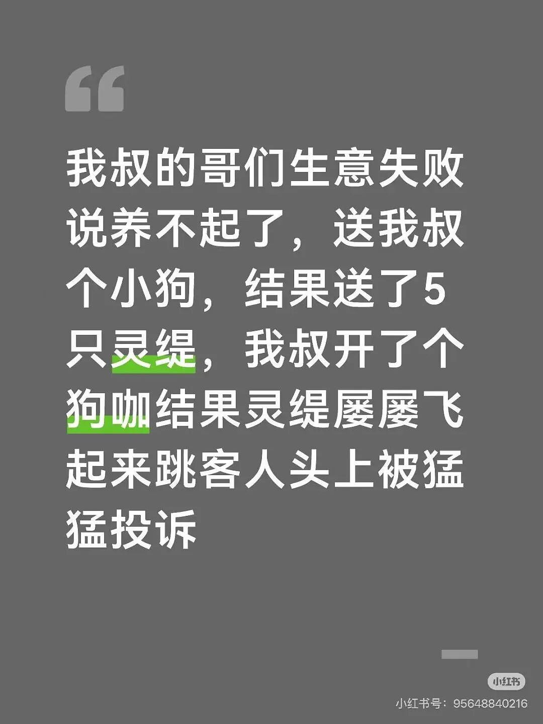 【爆笑】“亲戚在群里阴阳怪气我当场发疯…？”哈哈哈你惹他干嘛这下好了吧（组图） - 14