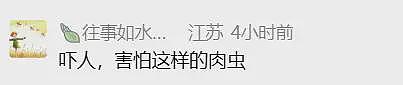 活久见！女子裤子内藏2斤活虫，同伴藏了4斤，都在蠕动（组图） - 6