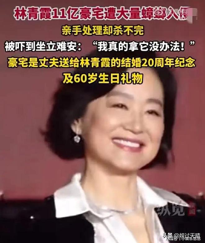 林青霞崩溃了！香港的豪宅被蟑螂入侵（组图） - 1