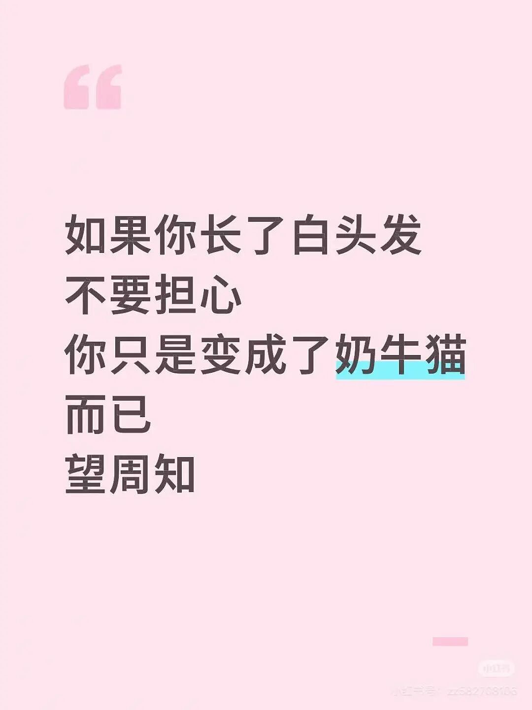 【爆笑】“见到前任发达了想跟对方再续前缘…?”啊啊啊求求你别去骚扰人家了(组图) - 44