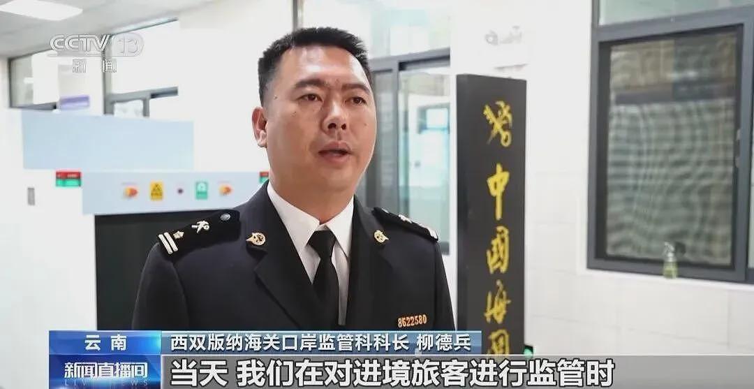 活久见！女子裤子内藏2斤活虫，同伴藏了4斤，都在蠕动（组图） - 3