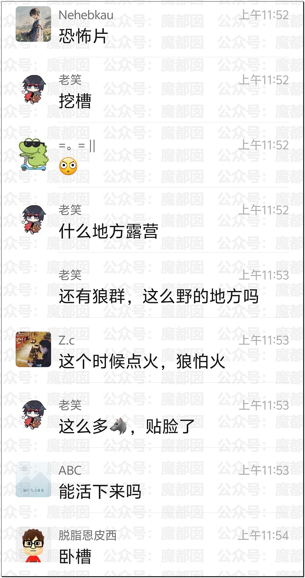 骇人！网传户外徒步野营竟然遇到狼群？真实面对野狼血口獠牙（视频/组图） - 2