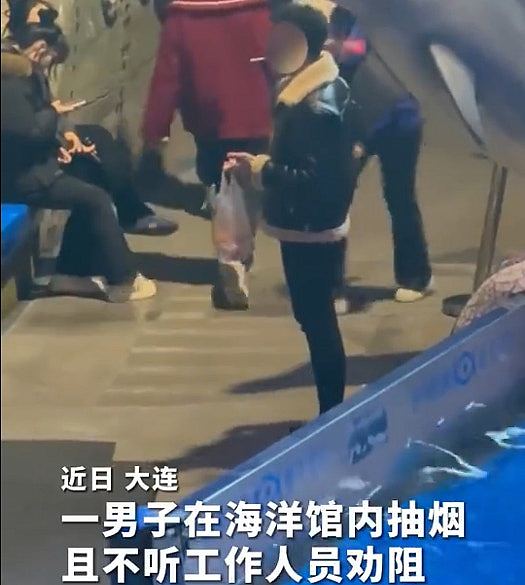 大连男子海洋馆吸烟拒听劝,遭白鲸喷水全身湿透极狼狈(视频/组图) - 1