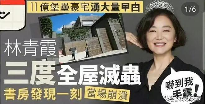 林青霞崩溃了！香港的豪宅被蟑螂入侵（组图） - 2