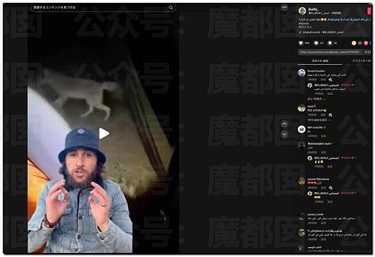 骇人！网传户外徒步野营竟然遇到狼群？真实面对野狼血口獠牙（视频/组图） - 8