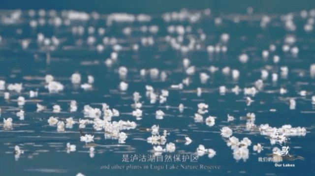 连夜改名的“水性杨花”，什么来头？（组图） - 3