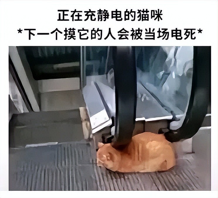 用了几十年的聚酯纤维，是怎么在互联网塌房的？（组图） - 9
