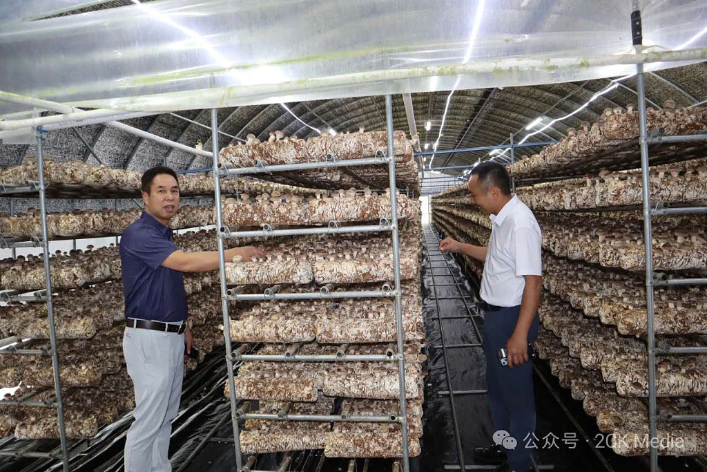 ​澳肇庆商会暨高要侨商创新中心换届，明年将举行理事大会与企业联欢晚宴（组图） - 6