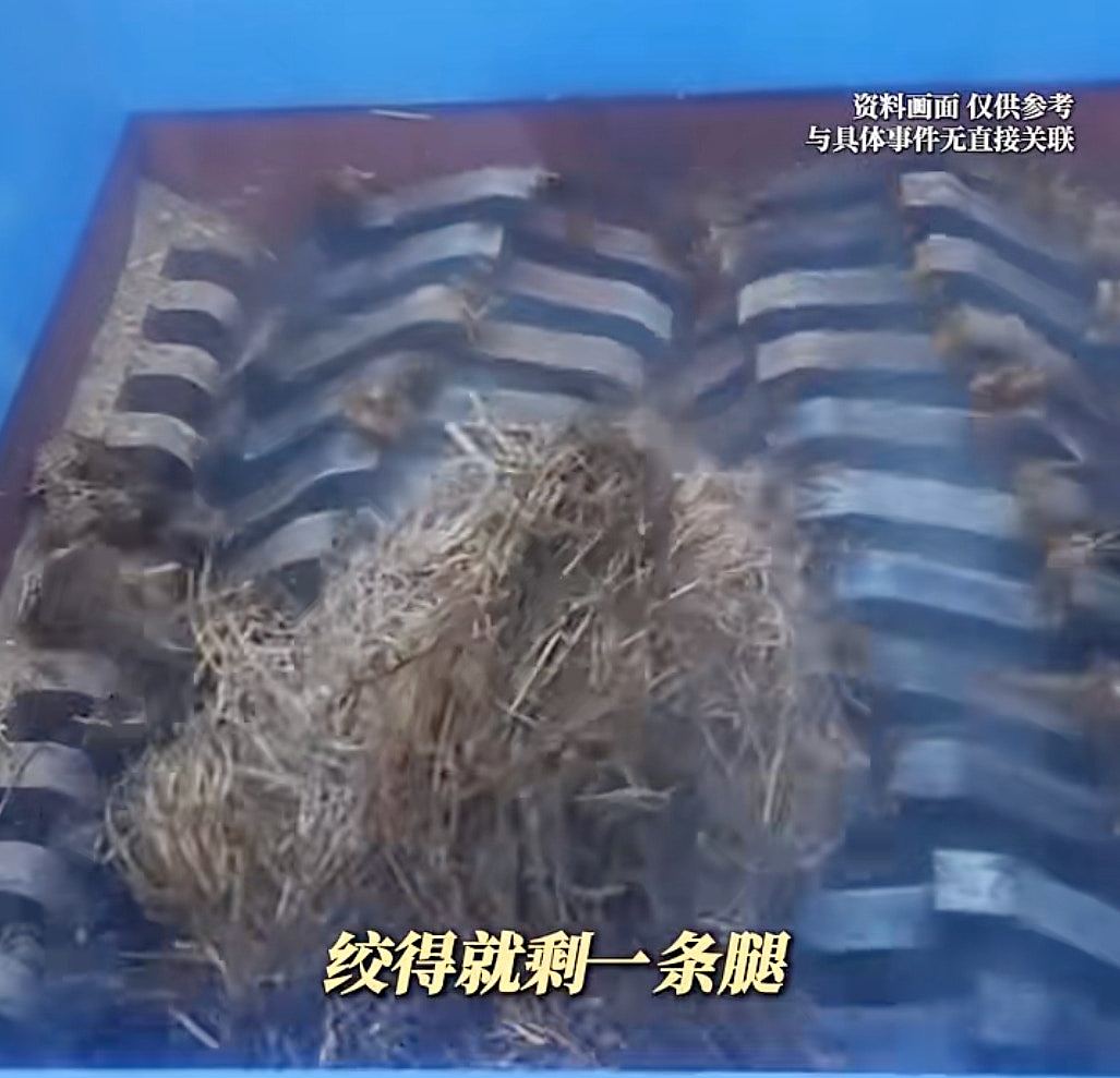 安徽维修工堕粉碎机亡，绞得就剩一条腿！家属拟起诉草场索偿（组图） - 3