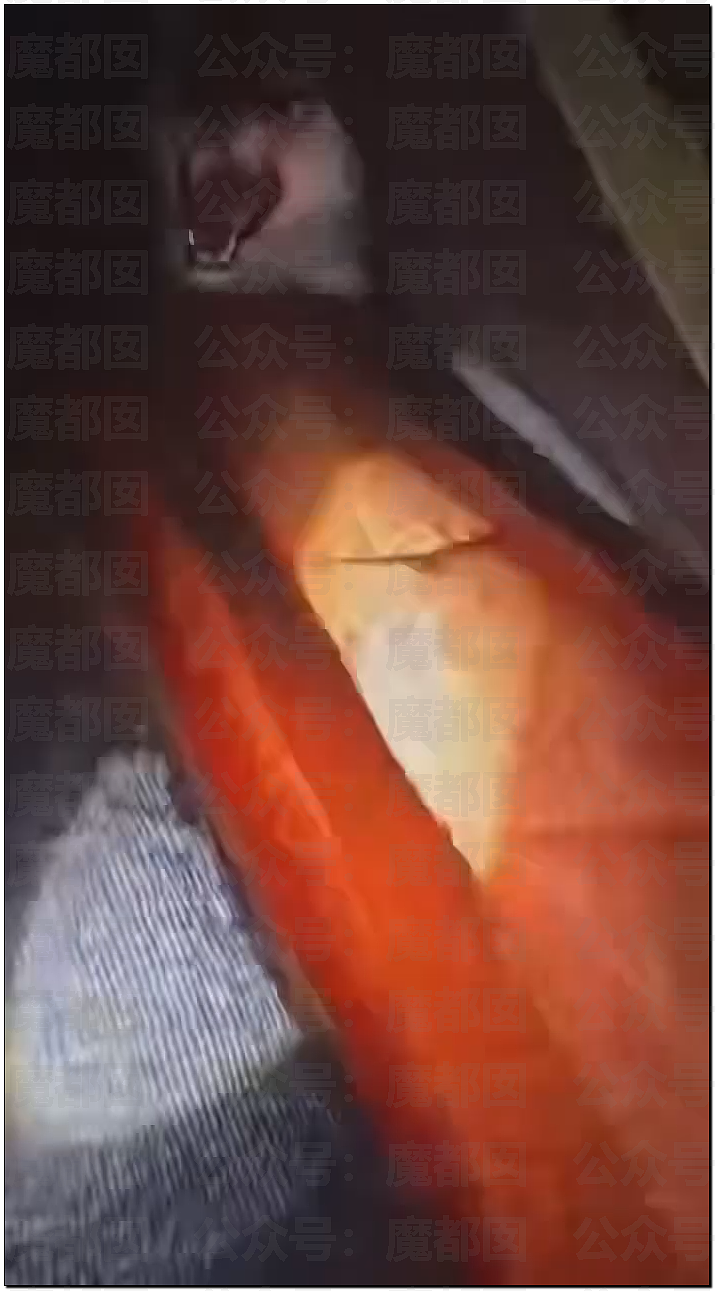 骇人！网传户外徒步野营竟然遇到狼群？真实面对野狼血口獠牙（视频/组图） - 7