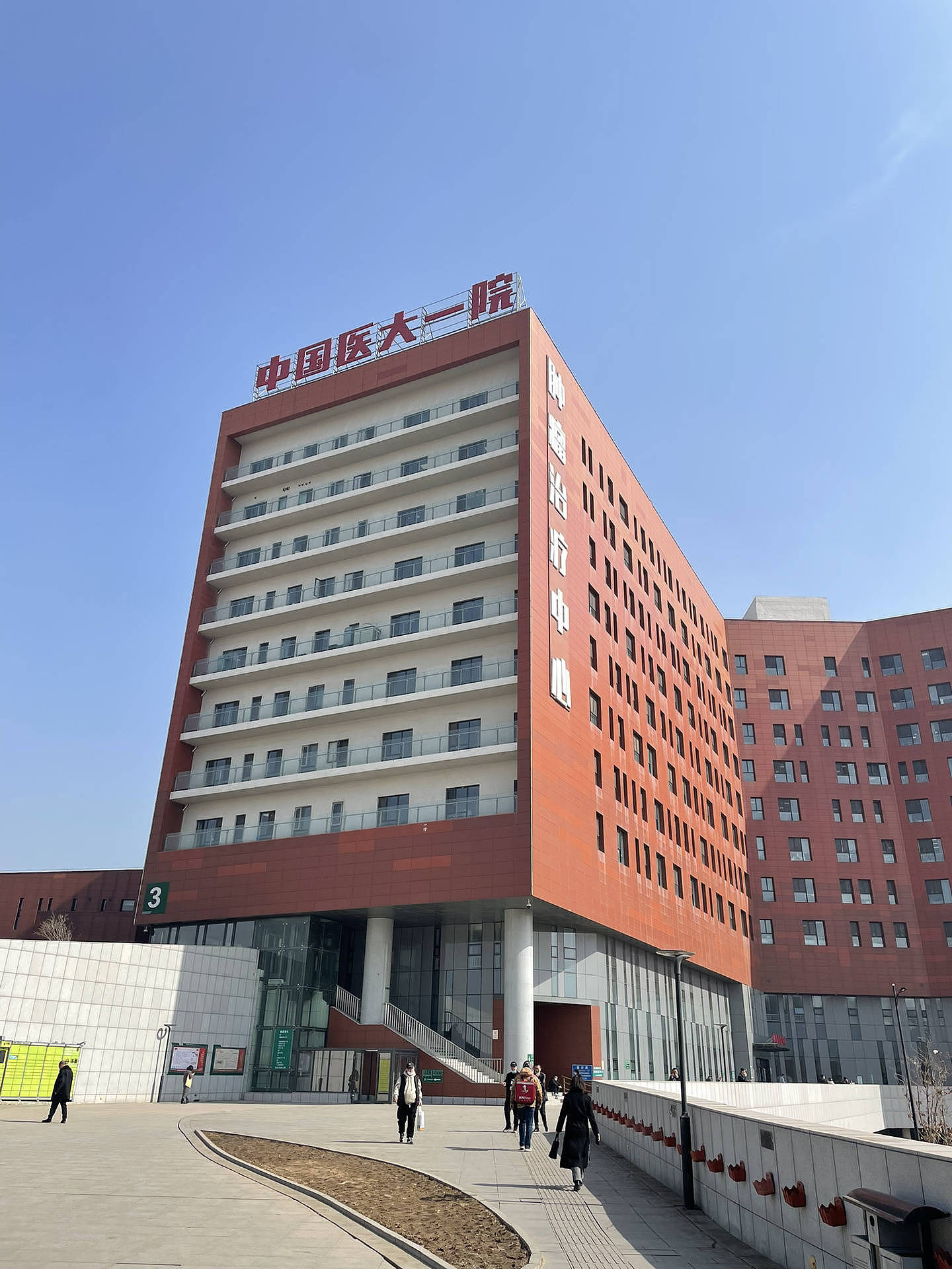 林晓霖：她是林豆豆同父异母的姐姐，一生坎坷（组图） - 5