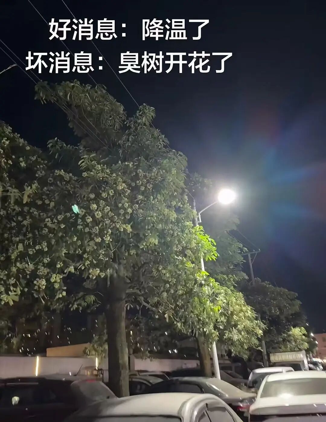 【爆笑】“见到前任发达了想跟对方再续前缘…?”啊啊啊求求你别去骚扰人家了(组图) - 39