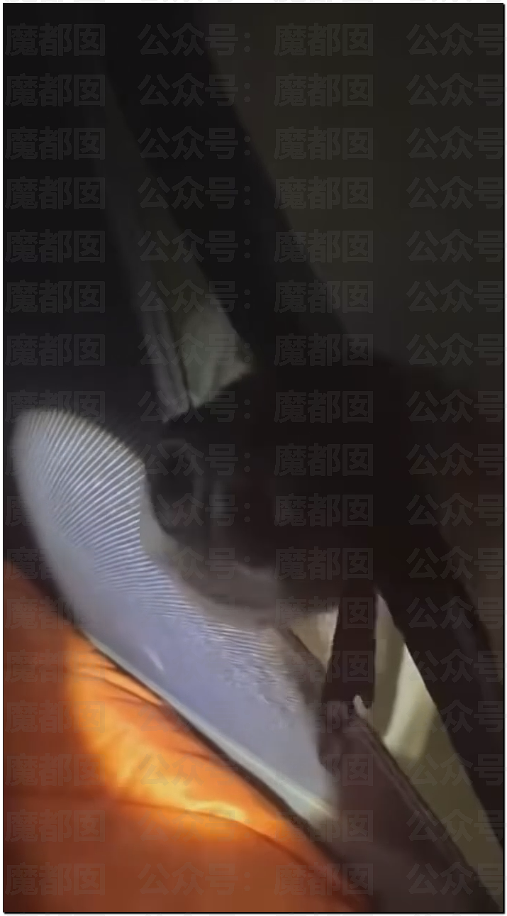 骇人！网传户外徒步野营竟然遇到狼群？真实面对野狼血口獠牙（视频/组图） - 4