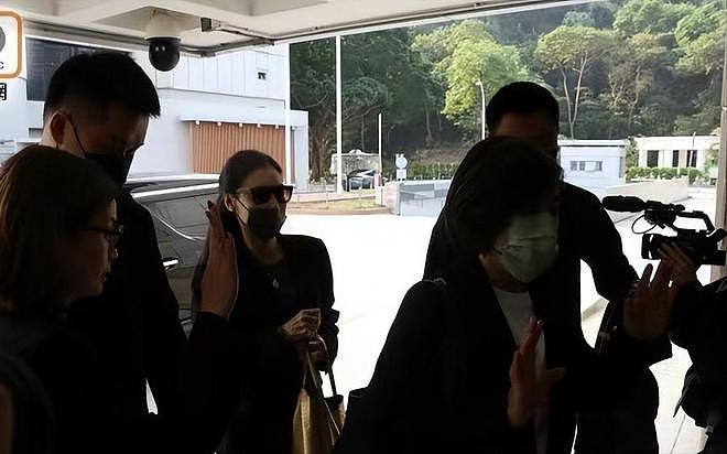 庭审对峙!张柏芝被干爹追讨1200万,谢霆锋划清界限,谢贤急了(组图) - 8