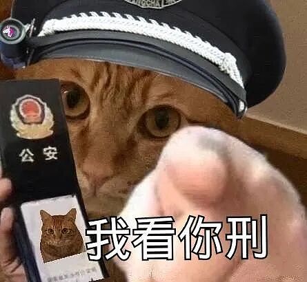 新加坡再现惊天血案!男子持刀狂砍组屋居民、现场血迹斑斑、反恐部队紧急出动…(组图) - 8
