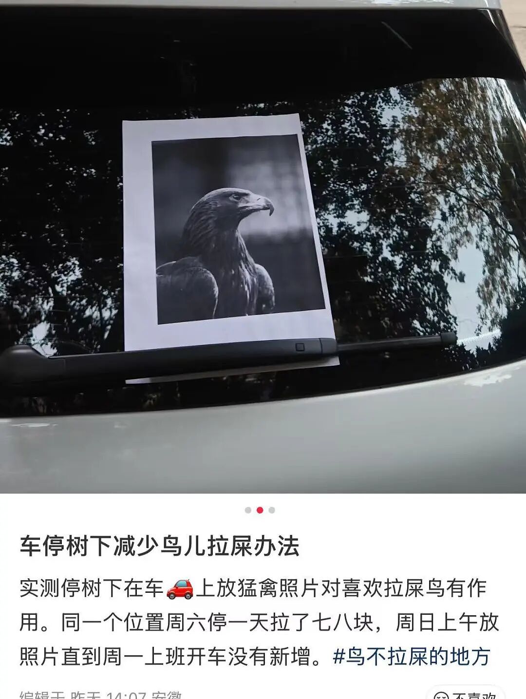 【爆笑】“亲戚在群里阴阳怪气我当场发疯…？”哈哈哈你惹他干嘛这下好了吧（组图） - 38