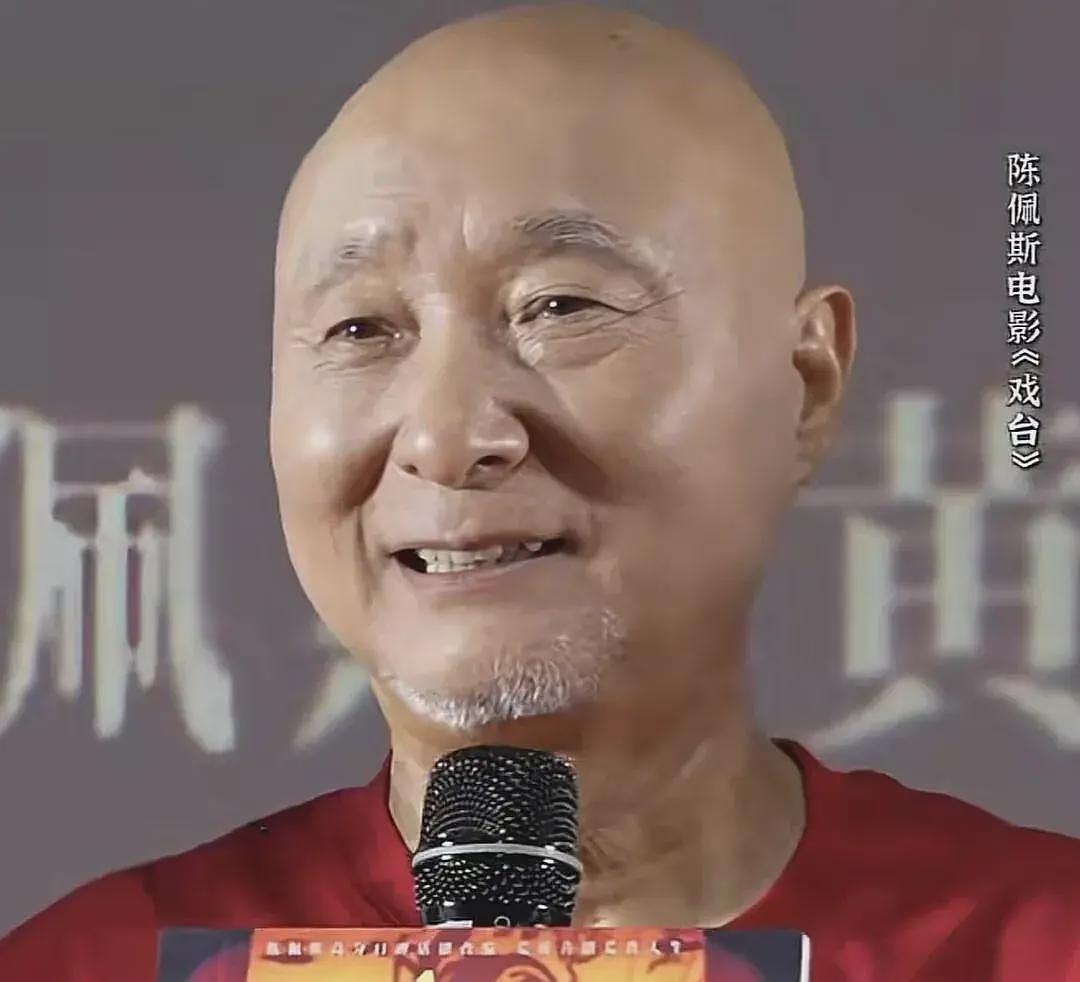 星三代来了！72岁濮存昕宣传外孙女新剧，长相引争议：内娱完了（组图） - 23