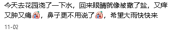 要命了，墨尔本今天又爆表了（组图） - 9